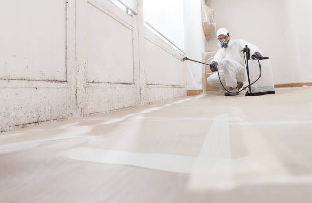 24/7 Emergency Basement Mold Remediation experts in Oakland, FL